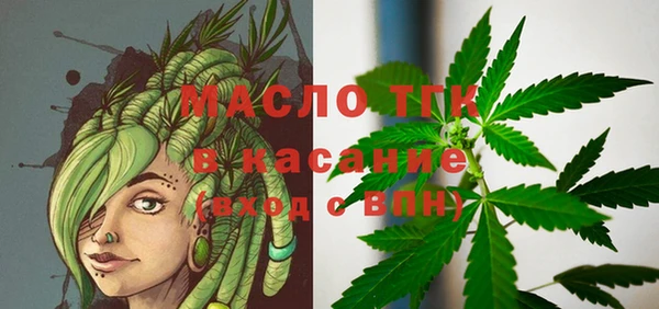 крисы Богородск