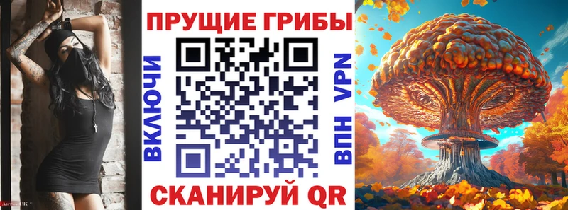 Псилоцибиновые грибы Magic Shrooms кракен ТОР Павловск наркота